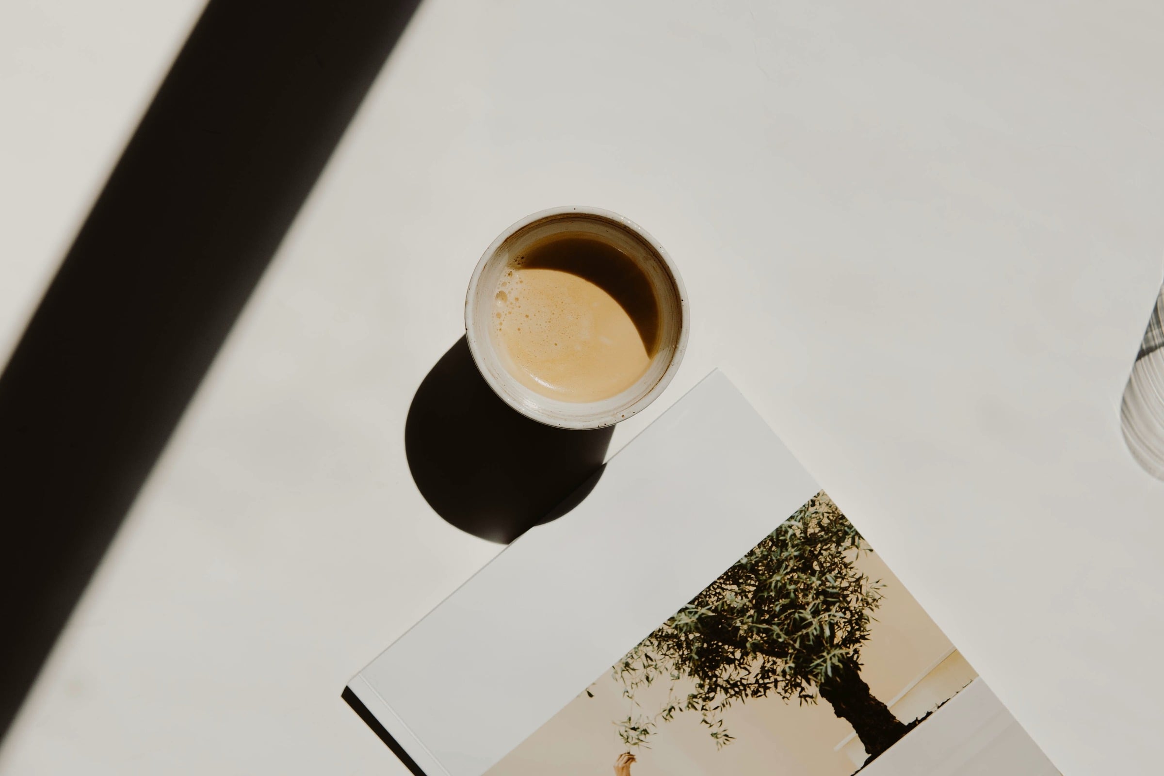Shilon Caffe Shiloh Coffee Co